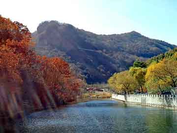 澳门二四六天天彩图库，兔子知不知道饥饱